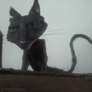 🐈‍⬛