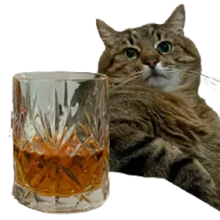 🥃
