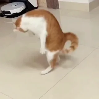 🤩