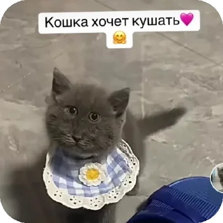 👍