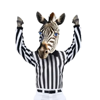🦓