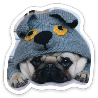 sad_pug_leonid