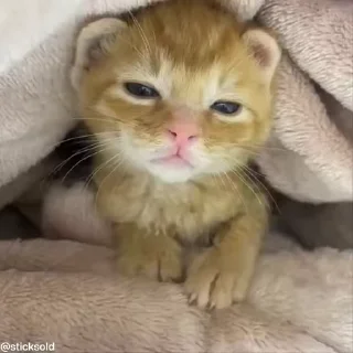 😳