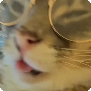 🤓