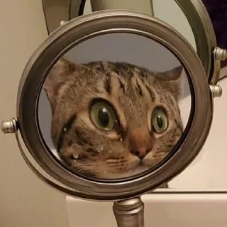 😶
