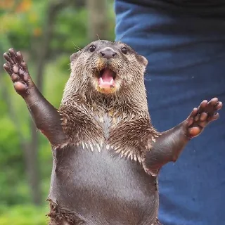 😱