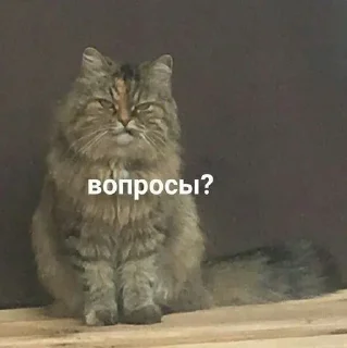 🤨