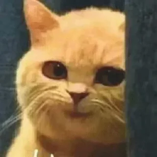 👀