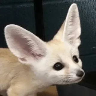 ☺️