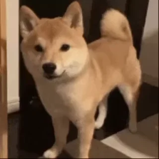 ❔
