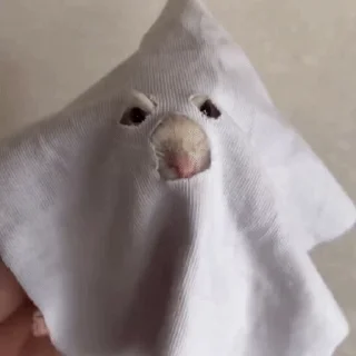 👻