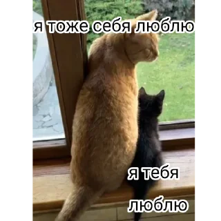❤️