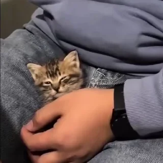 😌