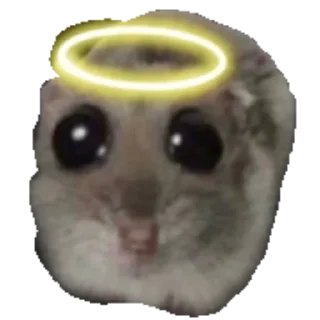 😇