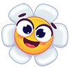 Romashka