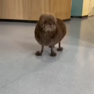 😁