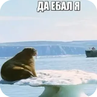 🚗