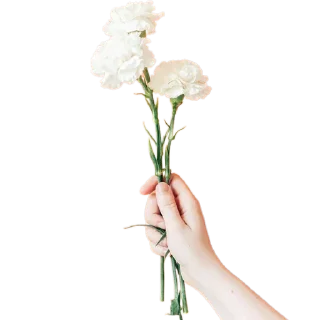 🥀