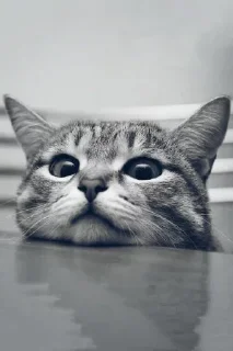 😮