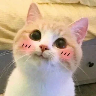 🤭