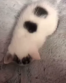 💕