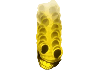🤩