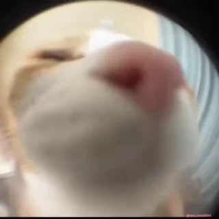 🤤