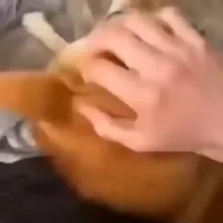 🙂