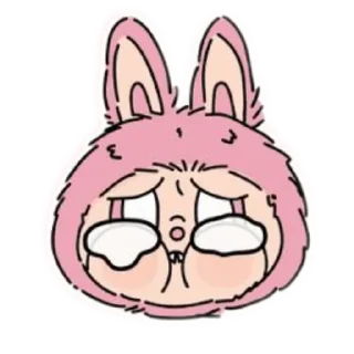 🐱