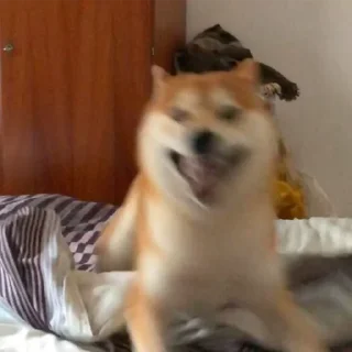 🥴