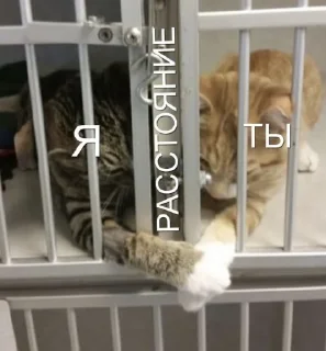 💕