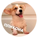 😊