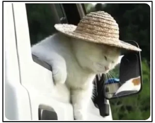 😮