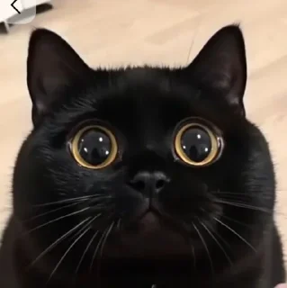 🤩