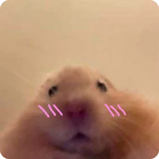😳