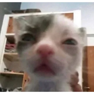 🤨
