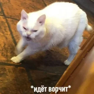 😤