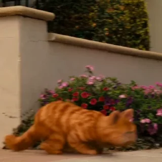 ☺️