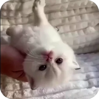 ☺️