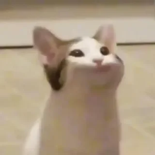 🙂