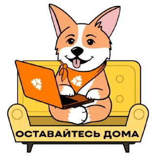 🛋