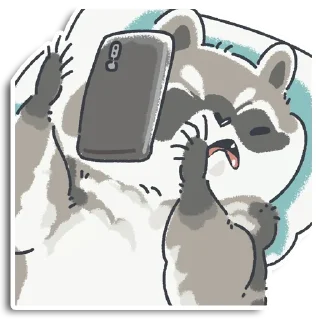 🦝