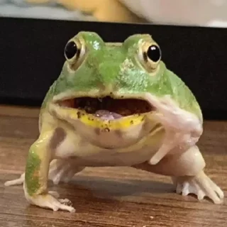 😍