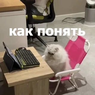 🤨