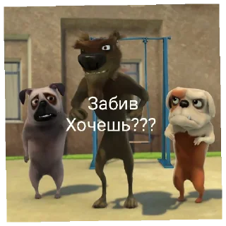 🤨