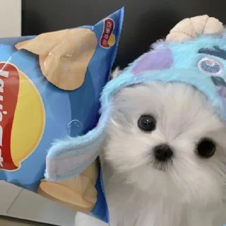 🍪