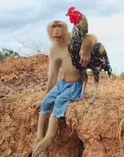 🤩