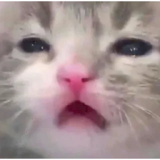 😩