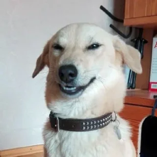 😏
