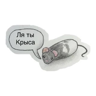 🐀